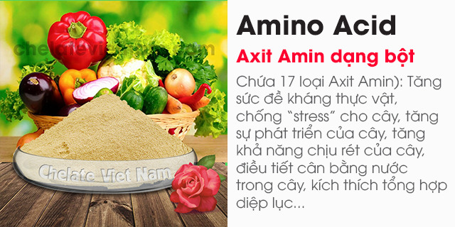 Amino Acid (Axit Amin) dạng bột tan 100%
